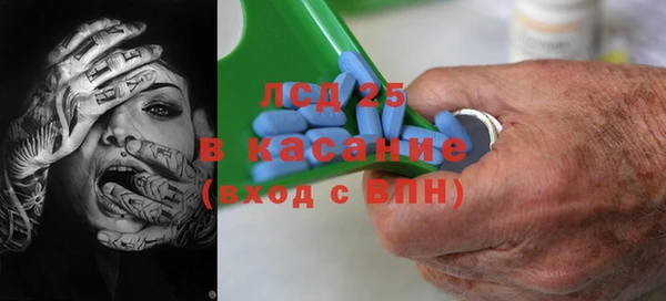 шишки Балабаново